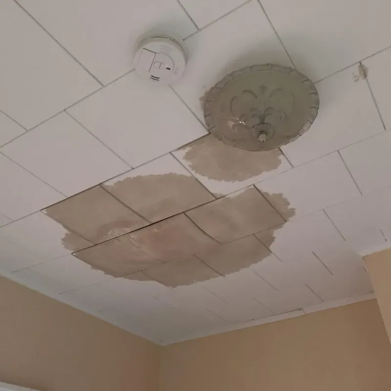 Ceiling Water Damage Repair in Adamsville, TN