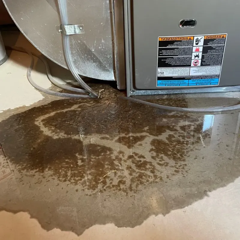 Pipe Burst and Leak Restoration in Adamsville, TN