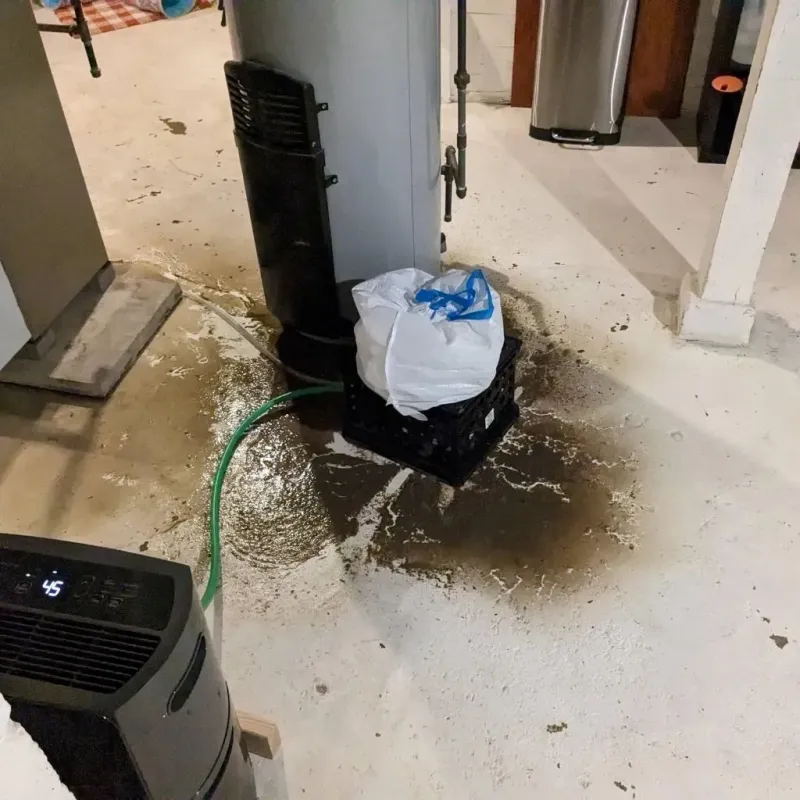 Sewage Backup Cleanup Service in Adamsville, TN